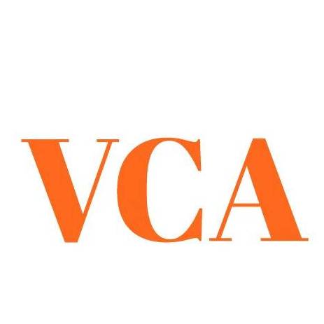 Virtual Collision Appraisals
