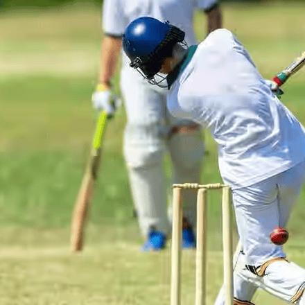 Thebatting Clinic