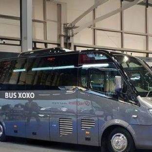 Busxoxo Busxoxo