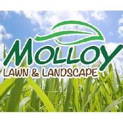Molloy Lawn Landscape